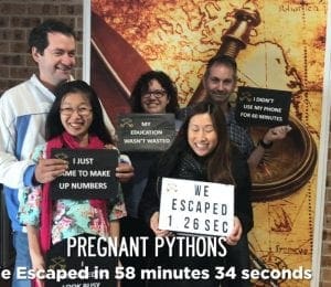 Pregnant Pythons